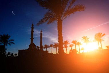 Gün batımında gökyüzü arka planında güzel büyük bir İslam camisi.