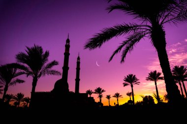 Gün batımında gökyüzü arka planında güzel büyük bir İslam camisi.