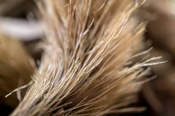 Macro texture de tisane sèche naturelle — Photo