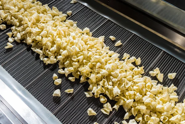 Transportlijn voor het bakken van snacks en chips in een moderne fabriek — Stockfoto