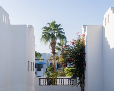 Tropikal bahçedeki en üst katın balkon ve çatılı manzarası.