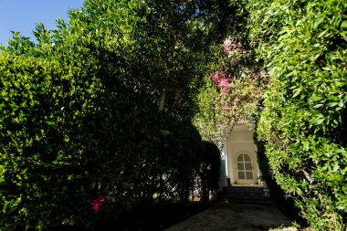 Tropikal yaz bahçesinin lüks peyzaj tasarımı