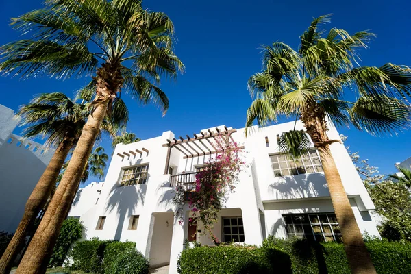 Mooie witte huizen aan de tropische tuin met palmen — Stockfoto