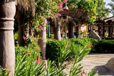 Yaz bahçesinin lüks peyzaj tasarımı