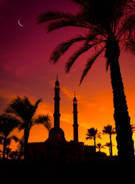 Gün batımında gökyüzü arka planında güzel büyük bir İslam camisi.
