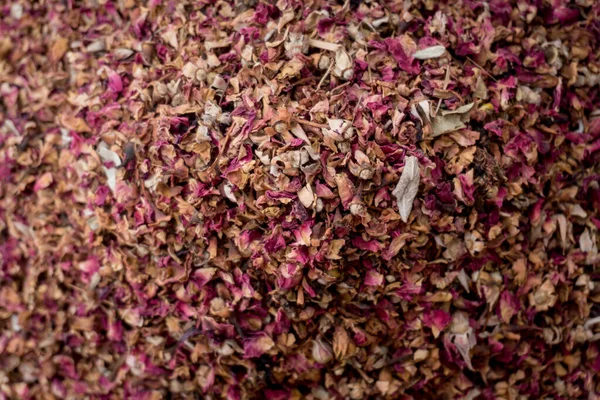 Macro texture of natural dry rose herbal tea — Stock Photo, Image