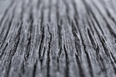 Büyük hindistan cevizi palmiyesinin güzel dokusu.