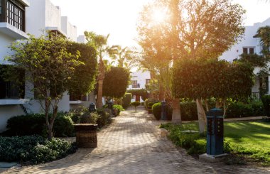 Tropikal yaz bahçesinin lüks peyzaj tasarımı