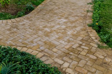 Tropikal yaz bahçesinin lüks peyzaj tasarımı