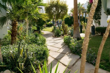 Tropikal yaz bahçesinin lüks peyzaj tasarımı