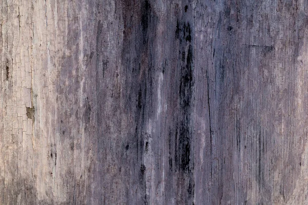 Textura de sobreposição bonita de parede de madeira velha — Fotografia de Stock