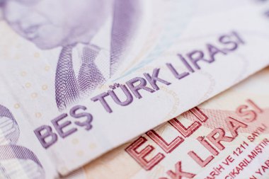 Dünya para koleksiyonu. Türk parasının parçaları