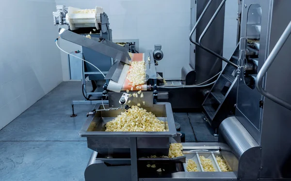 Conveyor line for frying snacks and chips in a modern factory