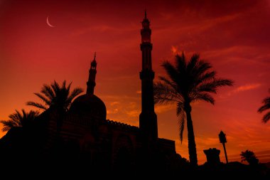 Gün batımında gökyüzü arka planında güzel büyük bir İslam camisi.
