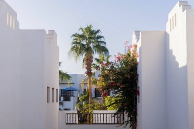 Tropikal bahçedeki en üst katın balkon ve çatılı manzarası.