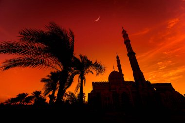Gün batımında gökyüzü arka planında güzel büyük bir İslam camisi.