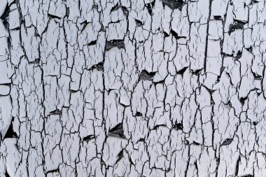 Eski çatlak boyanın güzel örtülü dokusu