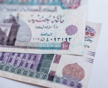 Dünya para koleksiyonu. Mısır parasının parçaları.