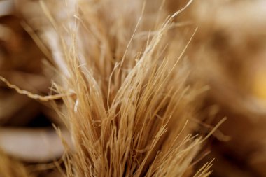 Doğal kuru bitki çayının makro dokusu