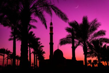 Gün batımında gökyüzü arka planında güzel büyük bir İslam camisi.
