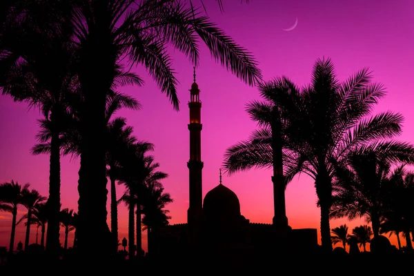 Gün batımında gökyüzü arka planında güzel büyük bir İslam camisi.