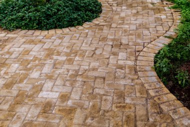 Tropikal yaz bahçesinin lüks peyzaj tasarımı