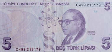 Dünya para koleksiyonu. Türk parasının parçaları