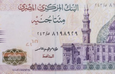 Dünya para koleksiyonu. Mısır parasının parçaları.