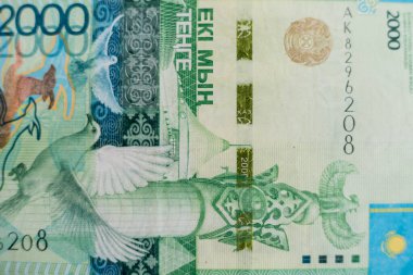 Dünya para koleksiyonu. Kazak parasının parçaları.