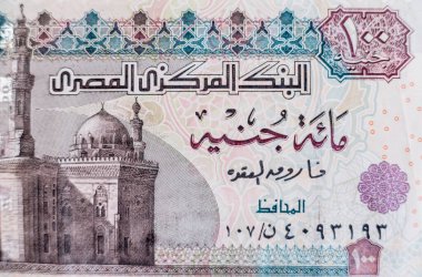 Dünya para koleksiyonu. Mısır parasının parçaları.