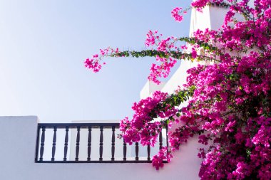 Tropikal bahçedeki en üst katın balkon ve çatılı manzarası.