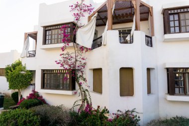 Tropikal bahçedeki en üst katın balkon ve çatılı manzarası.