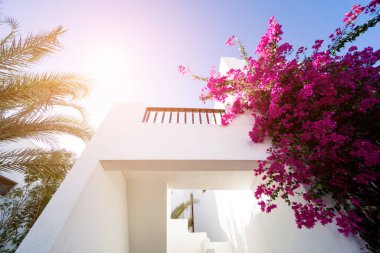 Tropikal bahçedeki en üst katın balkon ve çatılı manzarası.