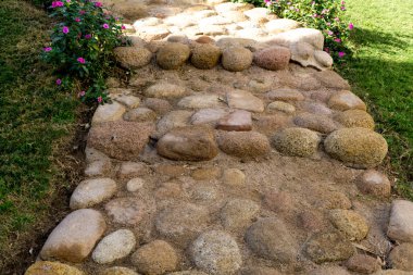 Tropikal yaz bahçesinin lüks peyzaj tasarımı