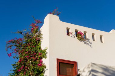 Tropikal bahçedeki en üst katın balkon ve çatılı manzarası.