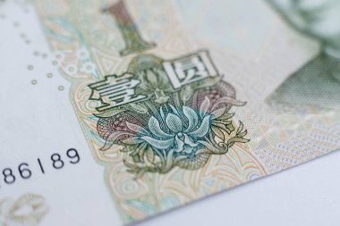 Dünya para koleksiyonu. Çin parasının parçaları.