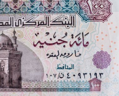 Dünya para koleksiyonu. Mısır parasının parçaları.