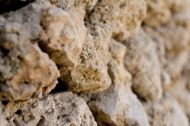 Eski taş duvarın güzel örtülü dokusu