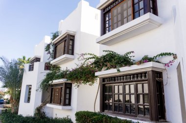 Tropik bahçede palmiyeli güzel beyaz evler