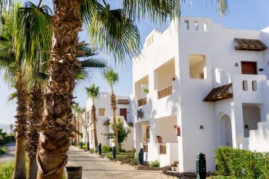 Tropik bahçede palmiyeli güzel beyaz evler