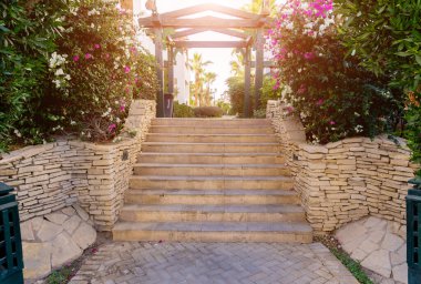 Tropikal yaz bahçesinin lüks peyzaj tasarımı