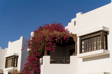 Tropikal bahçedeki en üst katın balkon ve çatılı manzarası.