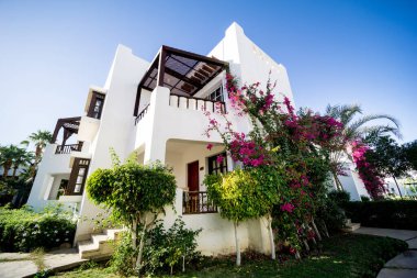 Tropik bahçede palmiyeli güzel beyaz evler