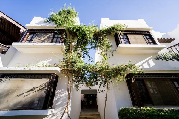 Mooie witte huizen aan de tropische tuin met palmen — Stockfoto