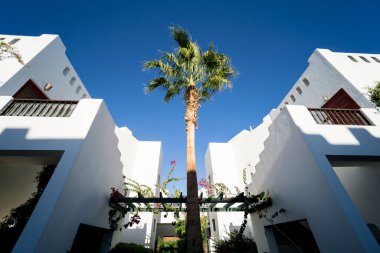 Tropik bahçede palmiyeli güzel beyaz evler