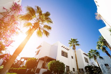 Tropik bahçede palmiyeli güzel beyaz evler