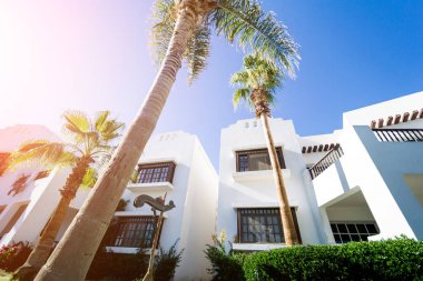 Tropik bahçede palmiyeli güzel beyaz evler