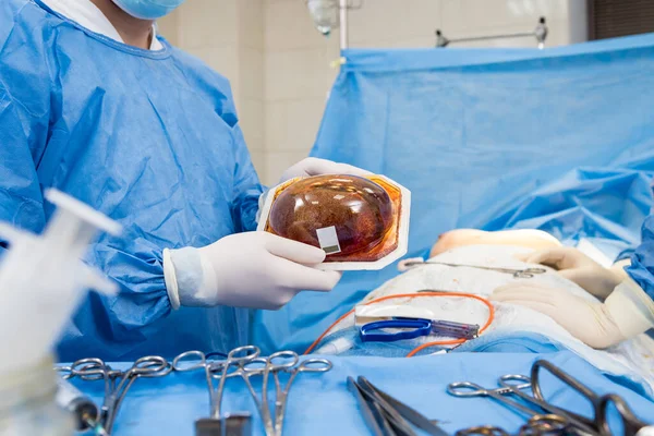 Surgeon in operation room is holding sterile breast silicone implant in hands.