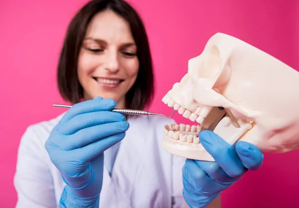 Woman dentist examines the oral cavity of the artificial skull with sterile dental instruments — Stock Photo, Image