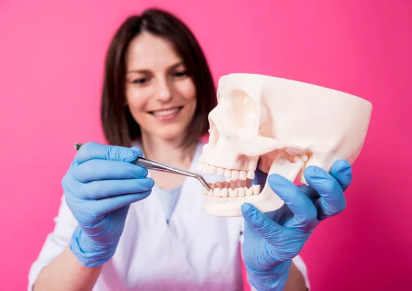 Woman dentist examines the oral cavity of the artificial skull with sterile dental instruments — Stock Photo, Image